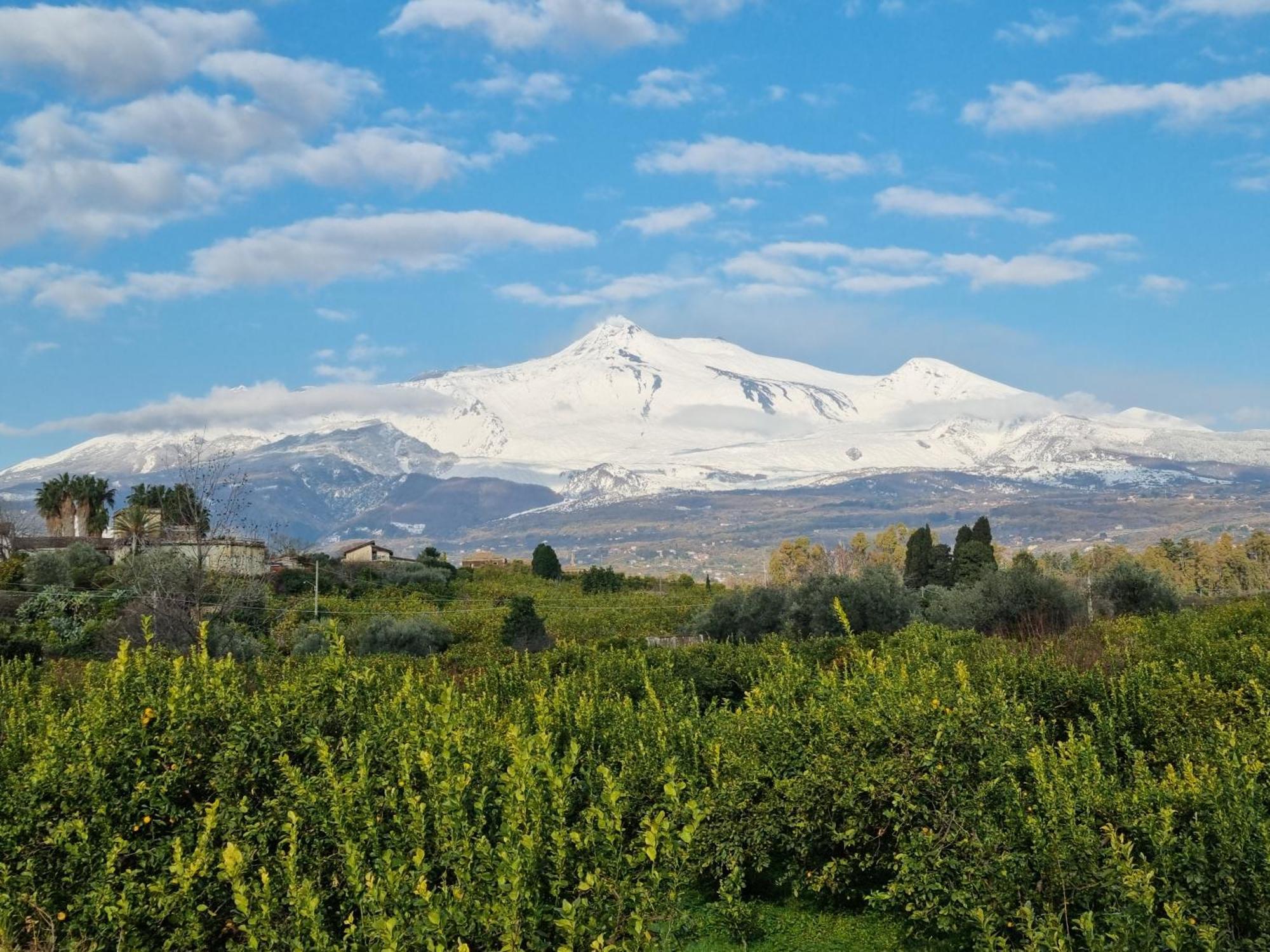 Delightful Relaxing Home With Heated Pool Near Catania, Taormina, The Sea And Mount Etna Giarre Zewnętrze zdjęcie